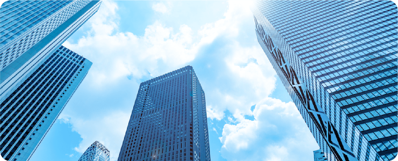 公共ソリューション